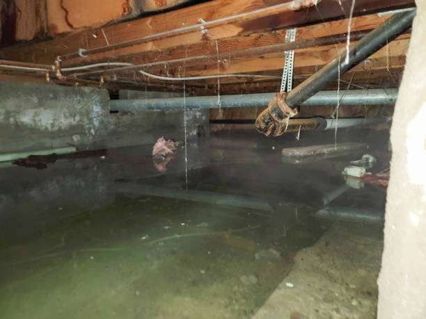 Best Water damage contractors near me  in Cade, LA