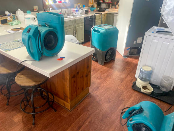 Best Flood damage cleanup  in Cade, LA