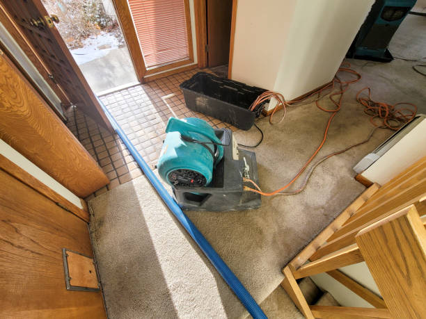 Best Residential water damage restoration  in Cade, LA