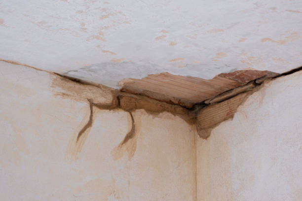 Best Carpet water damage restoration  in Cade, LA