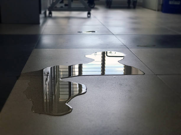 Best Water damage contractors near me  in Cade, LA