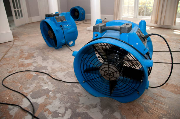 Best Emergency water damage restoration  in Cade, LA