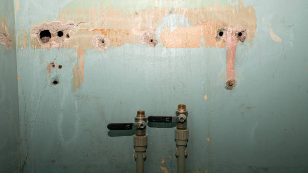 Best Basement water damage restoration  in Cade, LA