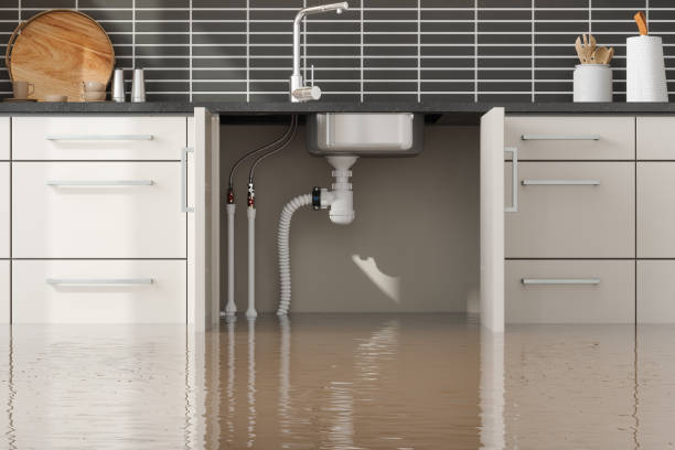 Best Fire Damage Restoration  in Cade, LA