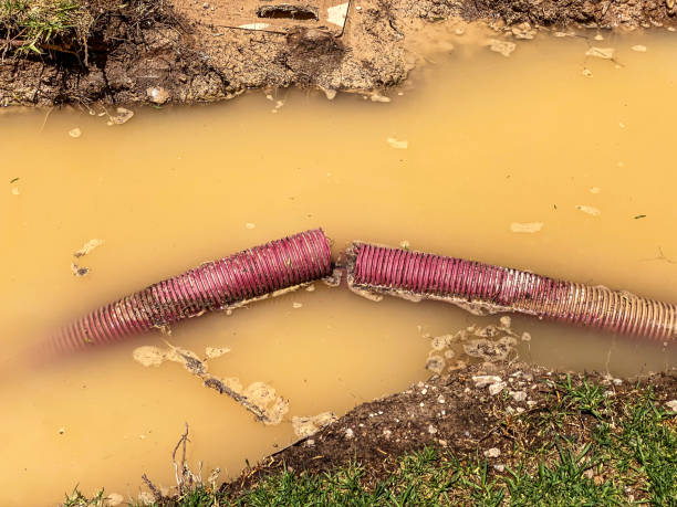 Best 24/7 water damage repair  in Cade, LA